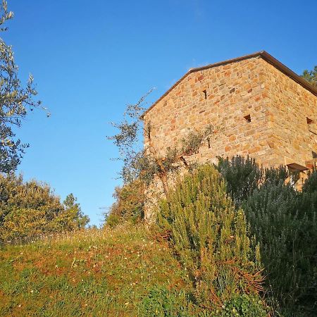 Cottage La Torre Del Pittore Bonassola Bagian luar foto