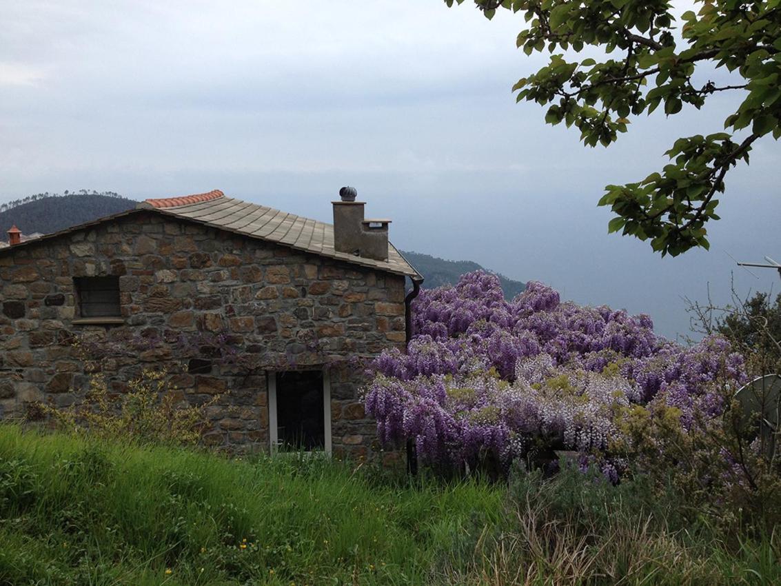 Cottage La Torre Del Pittore Bonassola Bagian luar foto