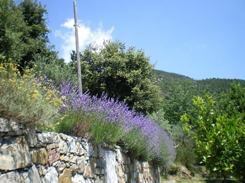 Cottage La Torre Del Pittore Bonassola Bagian luar foto