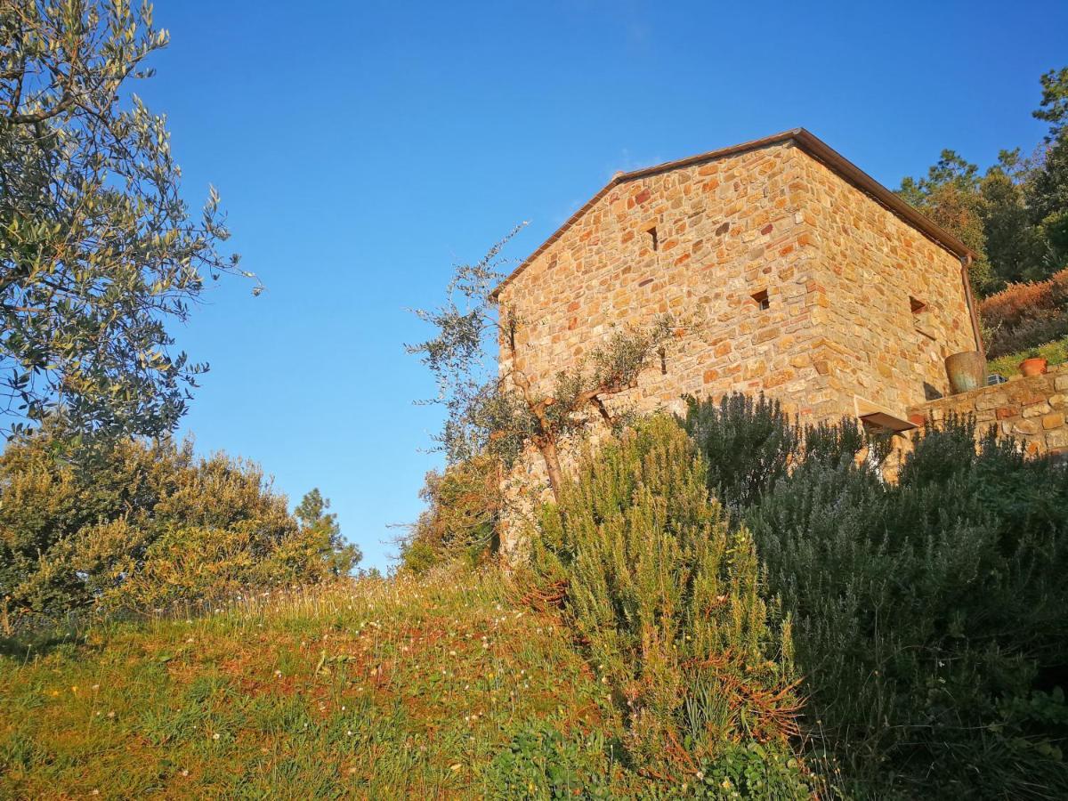 Cottage La Torre Del Pittore Bonassola Bagian luar foto