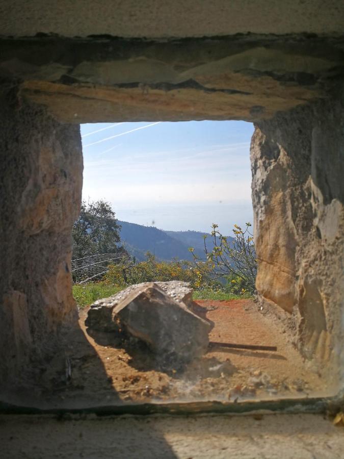 Cottage La Torre Del Pittore Bonassola Bagian luar foto